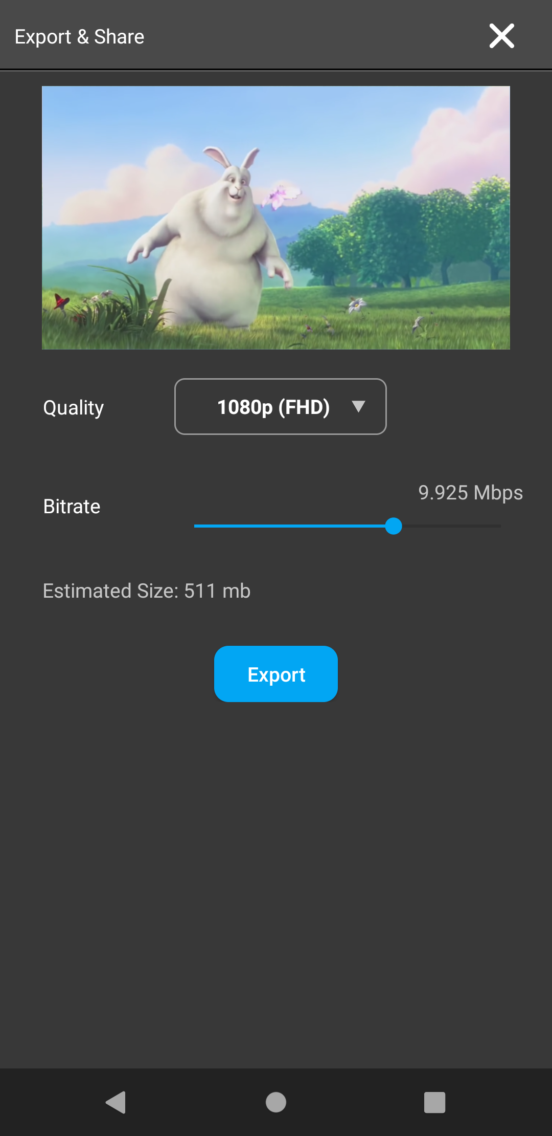 Export Settings Interface